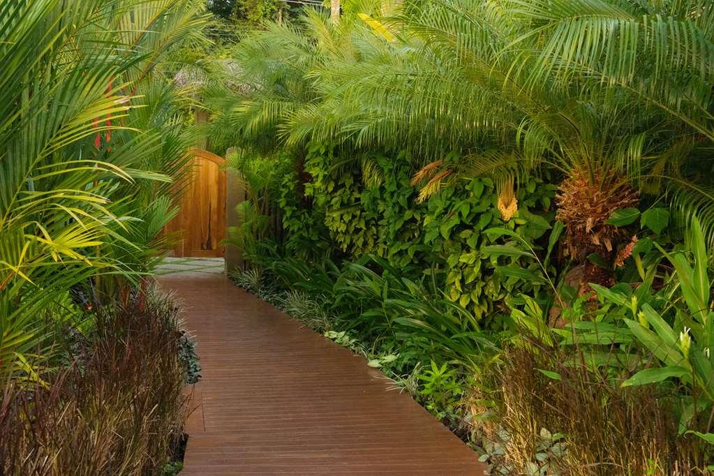 Casa Chameleon Hotel Mal Pais - Adults Only Playa Santa Teresa  สิ่งอำนวยความสะดวก รูปภาพ