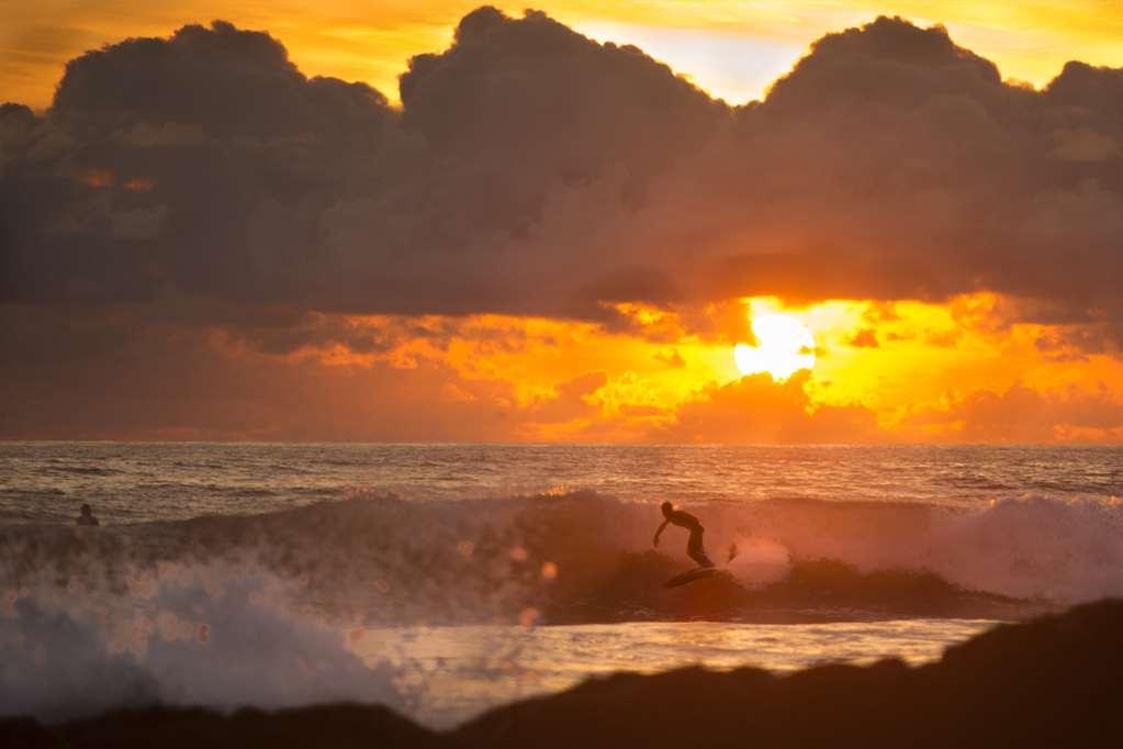 Casa Chameleon Hotel Mal Pais - Adults Only Playa Santa Teresa  สิ่งอำนวยความสะดวก รูปภาพ